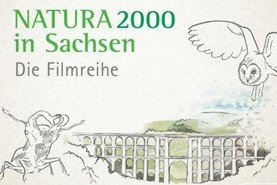 Kurzfilme Natura 2000 in Sachsen